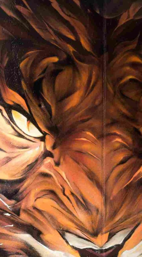 Close-up del entrecejo y la mirada felina del tigre en graffiti