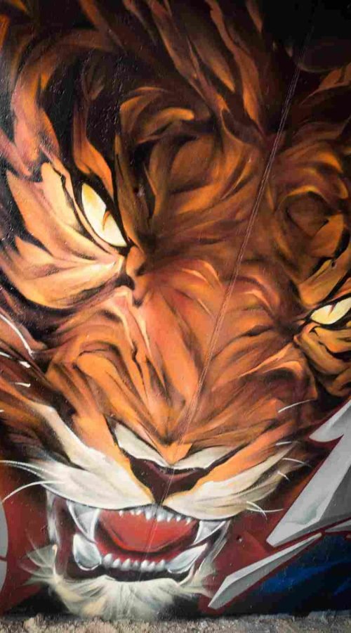 Perfil del rostro del tigre con iluminación cálida en mural 3D