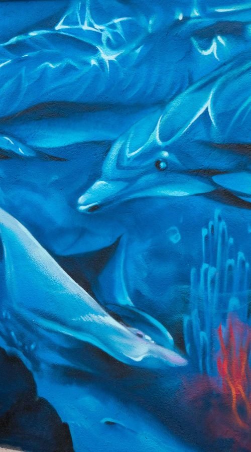 Graffiti de fauna marina en piscina particular en Madrid