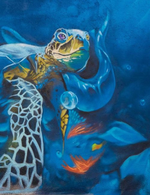 Graffiti de fauna marina en piscina particular en Madrid