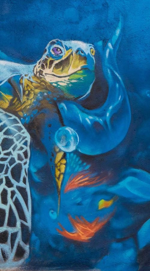 Graffiti de fauna marina en piscina particular en Madrid