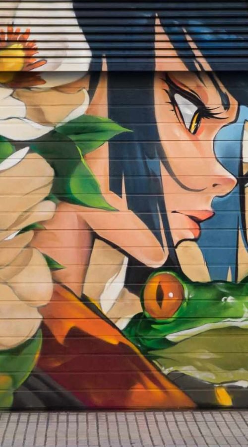 Mural de arte urbano en el Barrio del Oeste de Salamanca con figura femenina, rana y composición floral