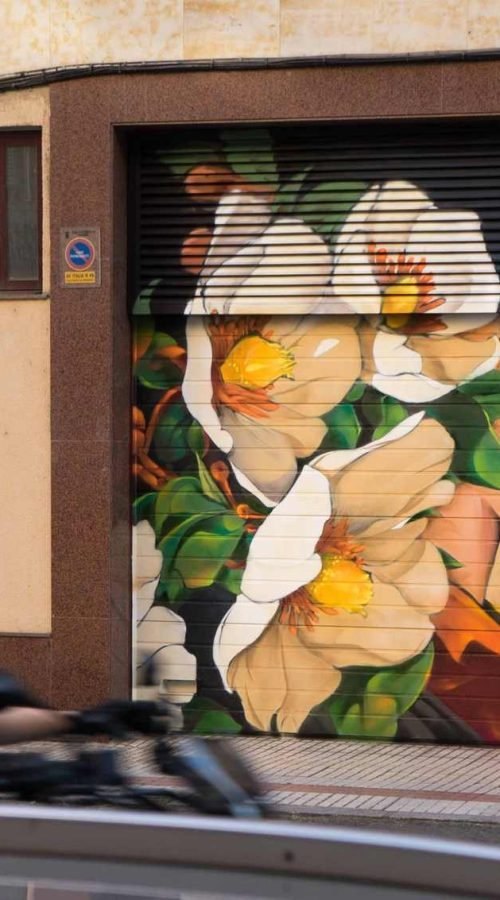 Vista frontal del mural La princesa y la rana en Salamanca, con cierre metálico convertido en obra urbana