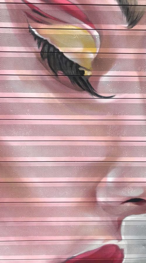 Retrato femenino en cierre de clínica Carmela Dávila, mural artístico para negocio de belleza