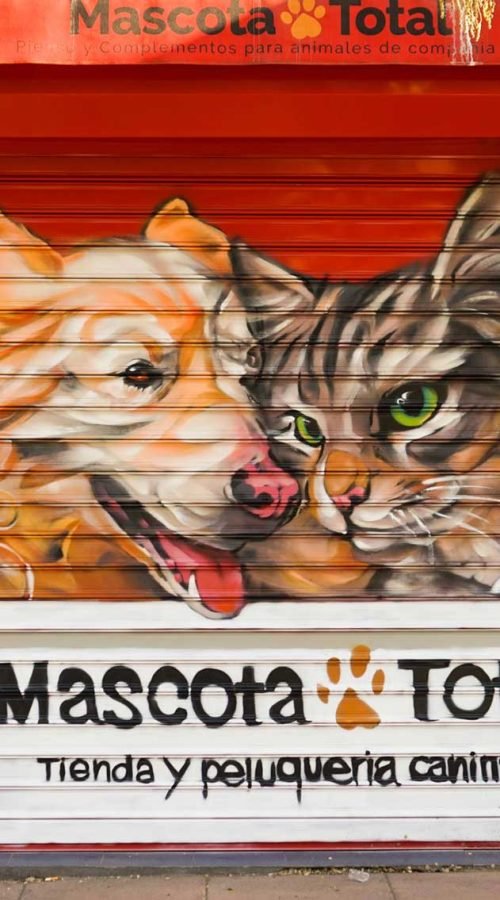 Graffiti con perro y gato en bañera para tienda veterinaria Mascota Total