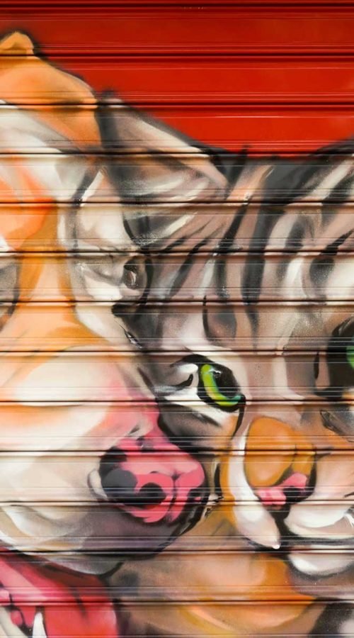 Graffiti con perro y gato en bañera para tienda veterinaria Mascota Total
