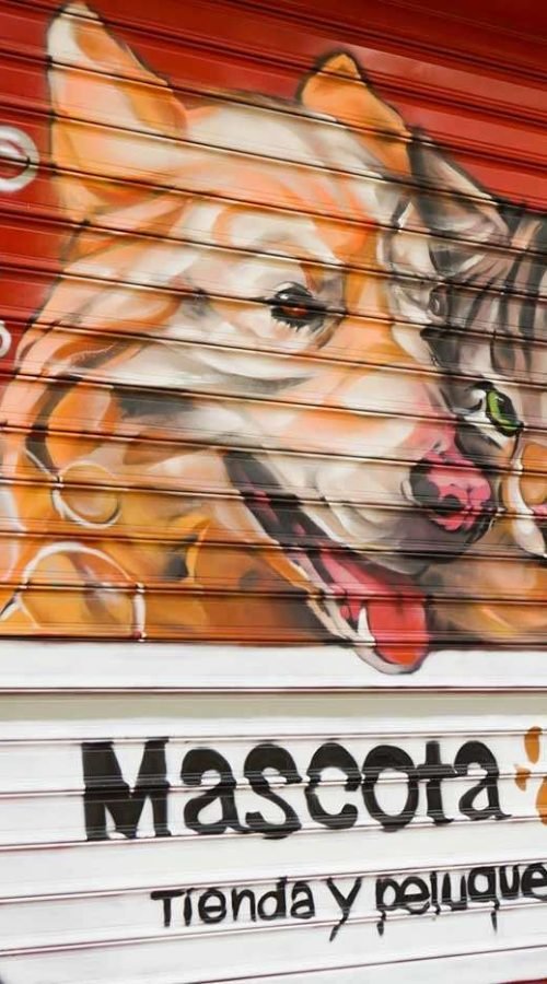 Graffiti con perro y gato en bañera para tienda veterinaria Mascota Total