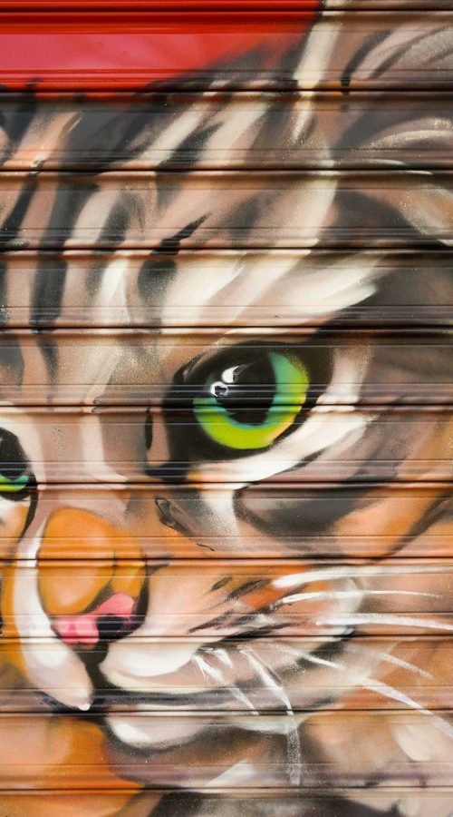 Graffiti con perro y gato en bañera para tienda veterinaria Mascota Total