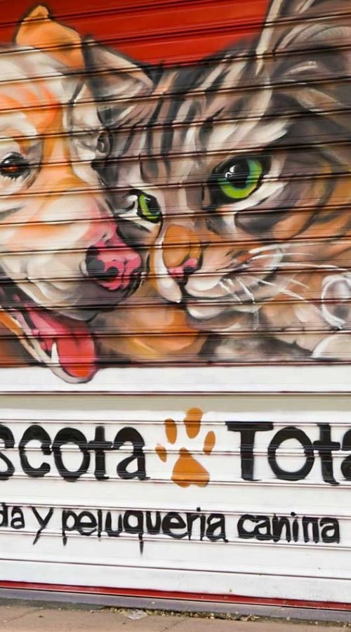 Graffiti con perro y gato en bañera para tienda veterinaria Mascota Total