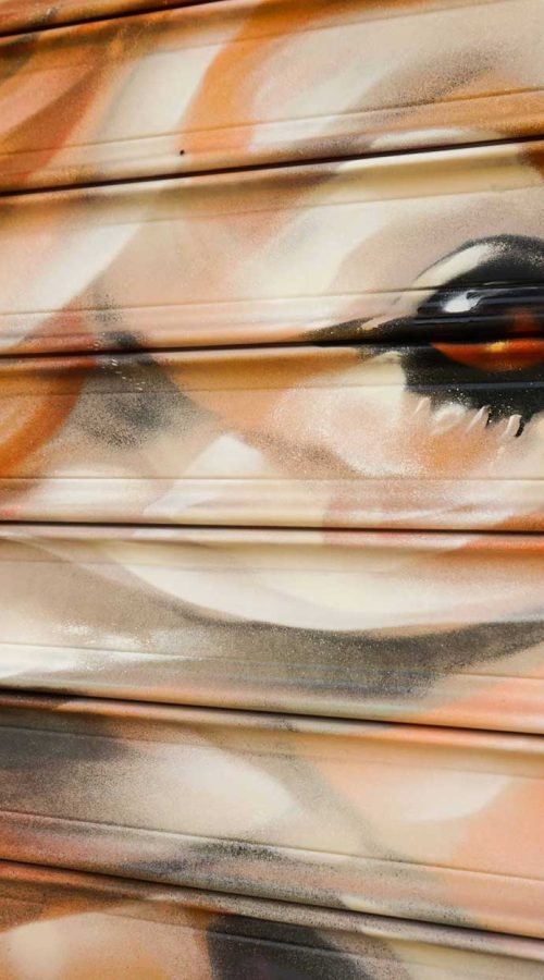 Graffiti con perro y gato en bañera para tienda veterinaria Mascota Total