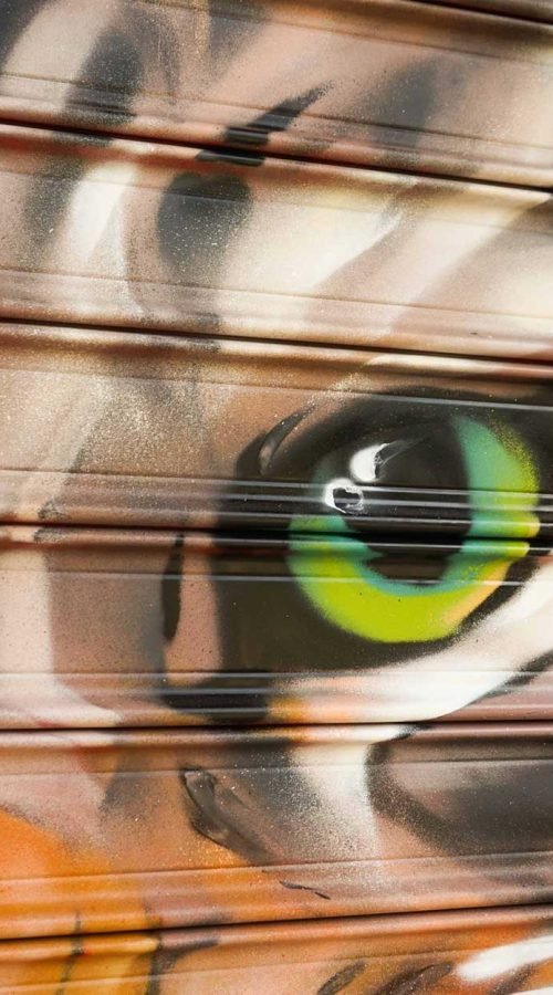 Graffiti con perro y gato en bañera para tienda veterinaria Mascota Total