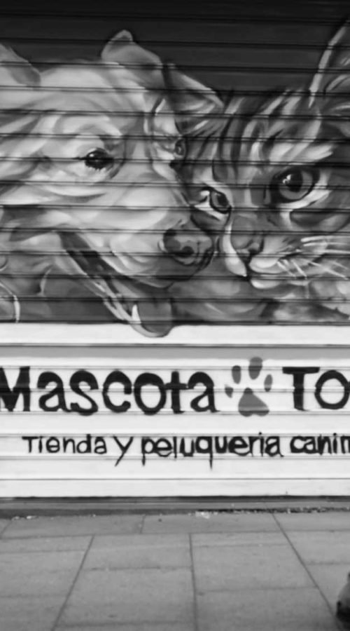 Graffiti con perro y gato en bañera para tienda veterinaria Mascota Total
