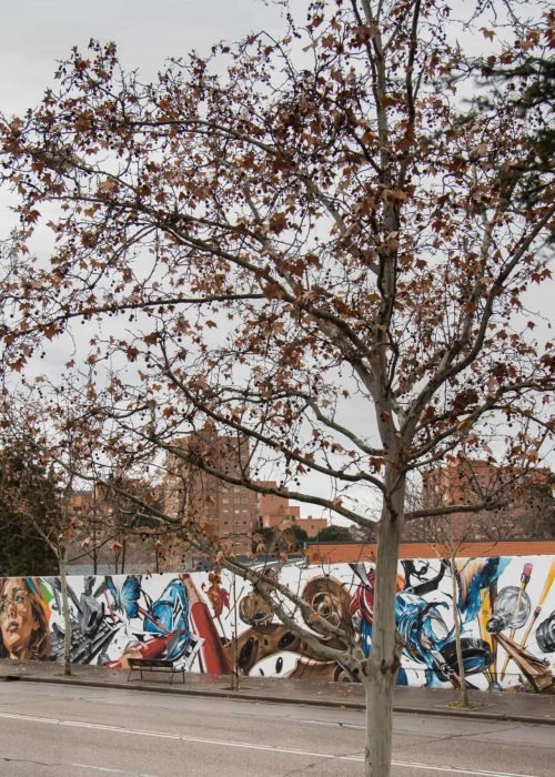 murales en colegios publicos y privados