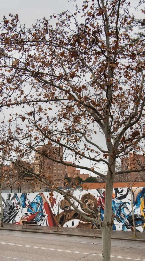 murales en colegios publicos y privados