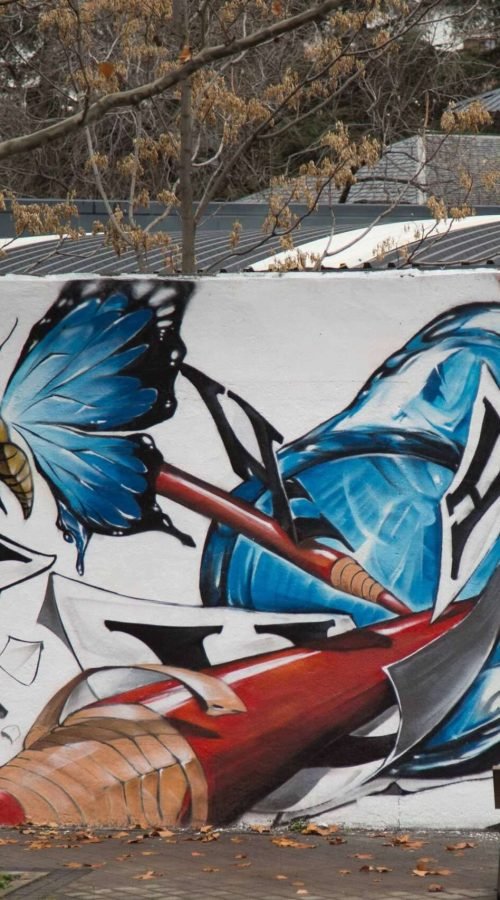 murales en colegios publicos y privados