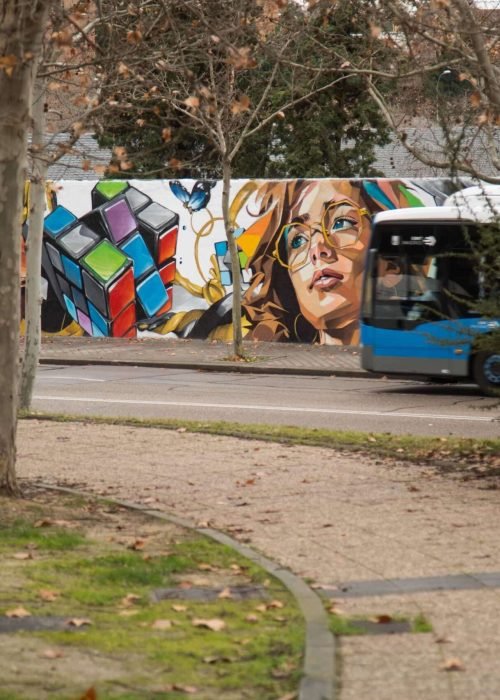 murales en colegios publicos y privados