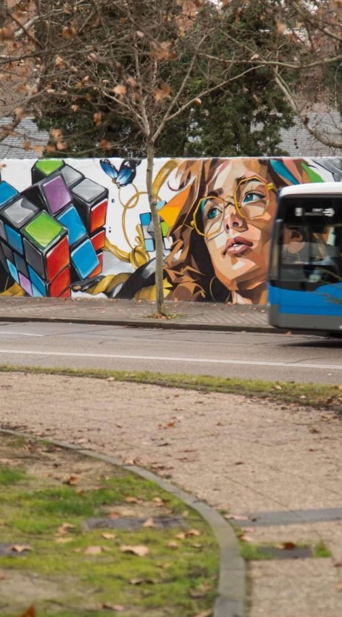 murales en colegios publicos y privados