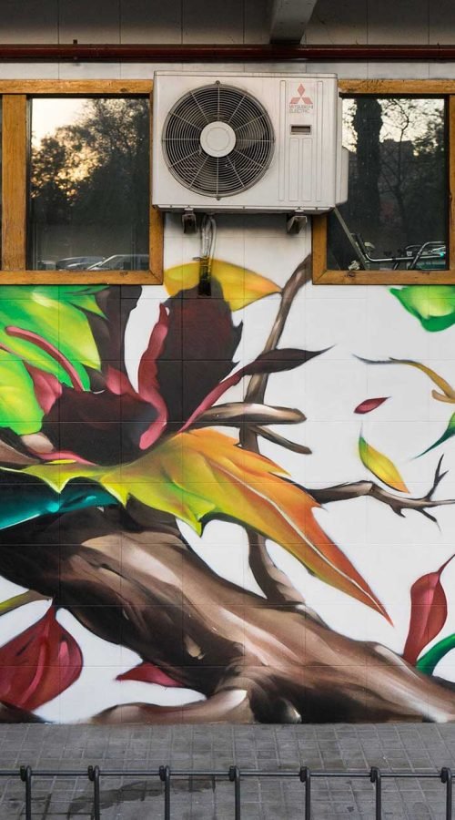 Mural con ramas y hojas en fachada de Farmacia Parque9, graffiti para imagen de salud