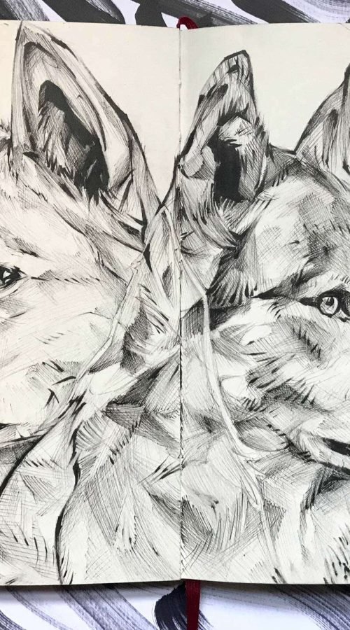 Ilustración personalizada de animal o mascota por encargo