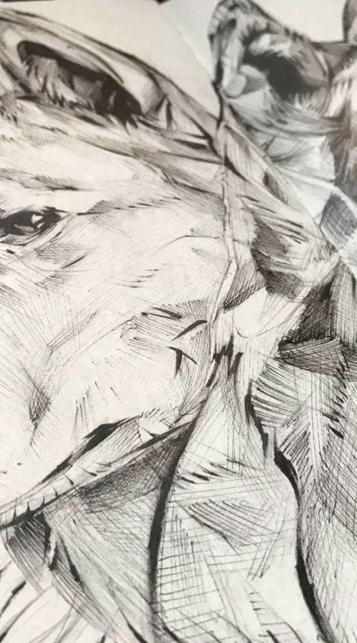 Ilustración personalizada de animal o mascota por encargo