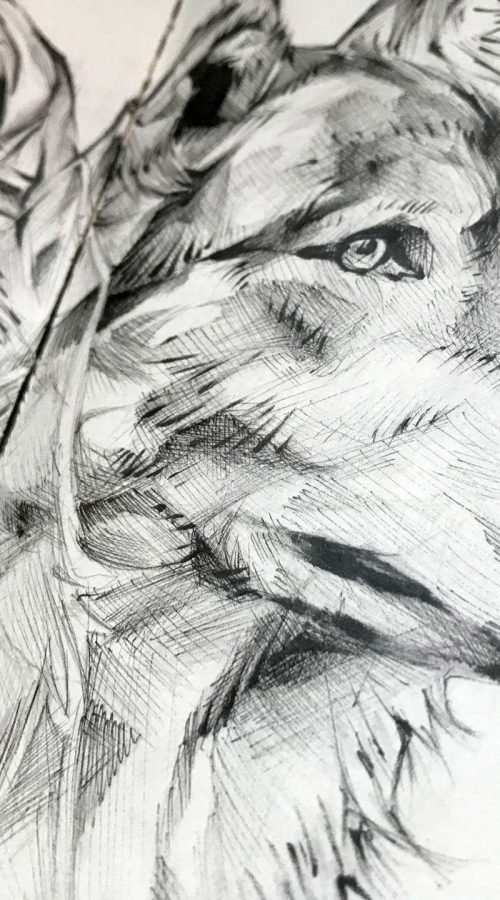 Ilustración personalizada de animal o mascota por encargo