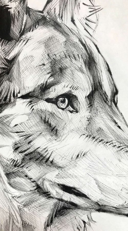 Ilustración personalizada de animal o mascota por encargo