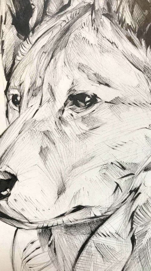 Ilustración personalizada de animal o mascota por encargo