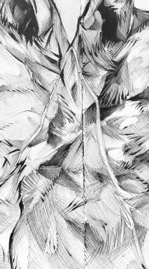 Ilustración personalizada de animal o mascota por encargo